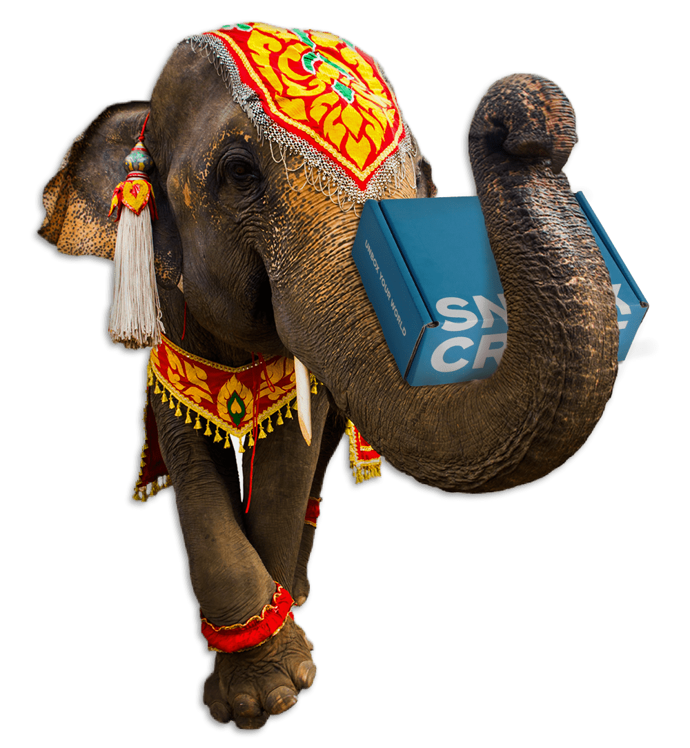 A large elephant carrying a blue SnackCrate in its trunk.